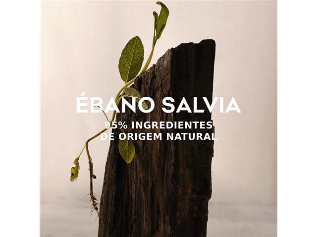 Perfume Adolfo Dominguez Ébano Salvia Eau de Parfum 120ML - 4
