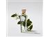 Perfume Adolfo Dominguez Agua Fresca de Azahar Eau de Toilette 120ML - 4