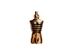 Perfume Jean Paul Gaultier Le Male Elixir Parfum 75ML - 1