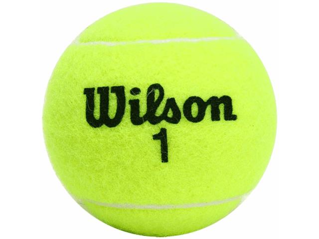 Bolas de Tênis Wilson Championship 3 Unidades - 1
