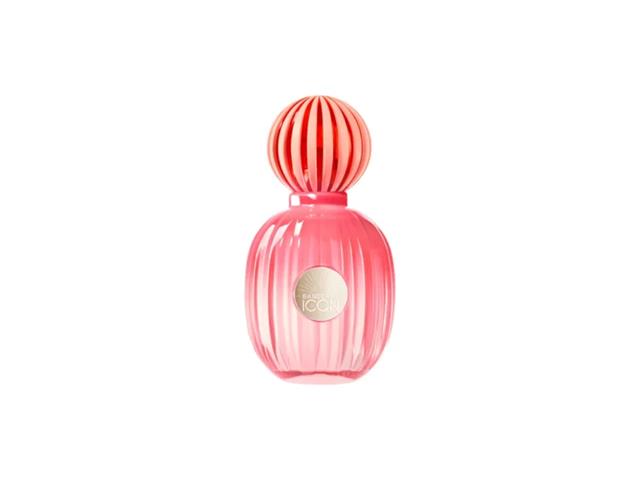 The Icon Banderas Splendid Eau de Parfum for W...