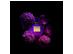 Kit Perfume Banderas Her Secret Desire EDT 80ML + Desodorante 150ML - 1
