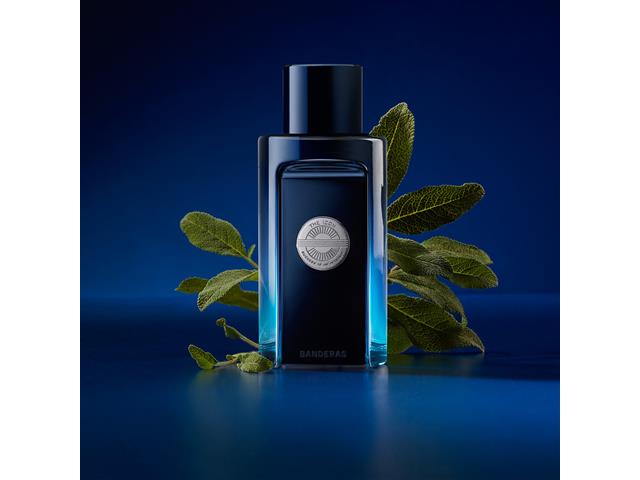 Perfume Banderas The Icon Eau de Toilette 100ml - 7