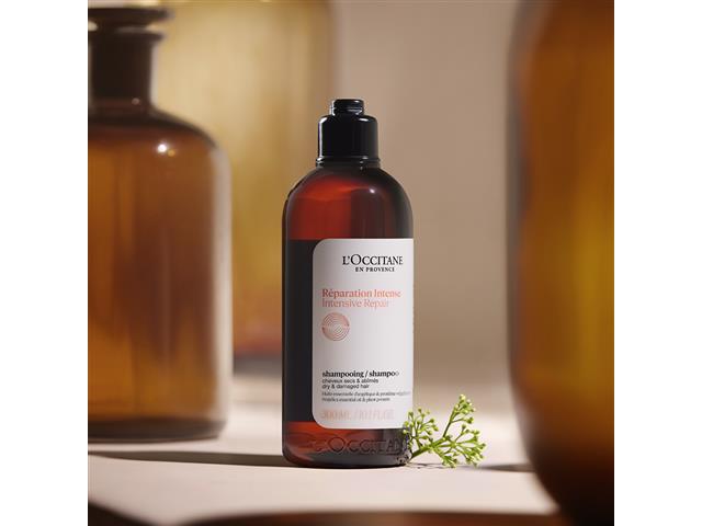 Shampoo L'Occitane en Provence Aromacologia Reparação Intensiva 300ML - 1
