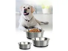Plato de acero antideslizante base de silicón para mascotas chico - 4