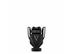 Rabanne Invictus Victory Absolu Parfum Intense 50ml - 0