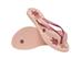 Chinelo Havaianas Slim Organic Rosa/Rose Gold Tam 35-36 - 3