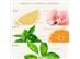 Eau de Toilette Refrescante Verbena 100ml L´Occitane en Provence - 1