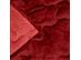 Edredom Buettner King Plush Flannel Dupla Face 260mx280m Vermelho - 3