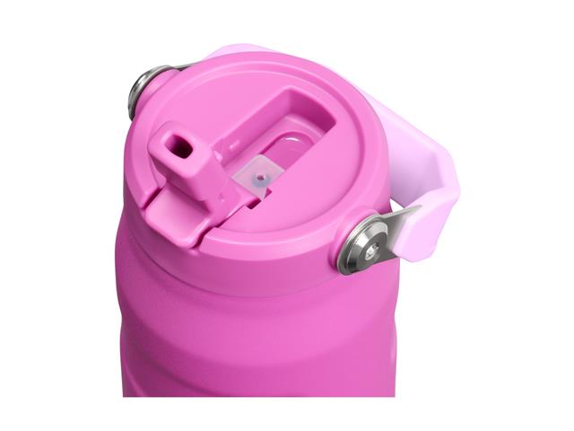 Garrafa Térmica Aerolight Flip Straw Dark Blos...