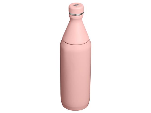 Garrafa Térmica Slim Bottle Peach Rose 591ml - 1