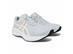 Tênis Asics Raiden 5 020 Piedmont Grey/White Fem - 0