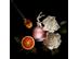 Perfume Jean Paul Gaultier Scandal Eau de Parfum Feminino 80ML - 2