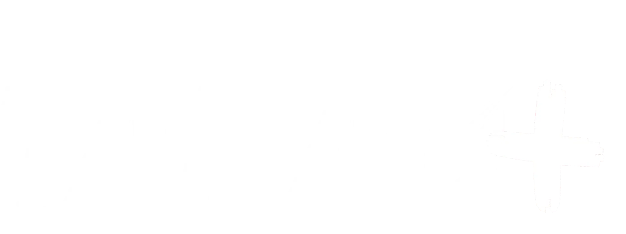 Logo Takao Mais